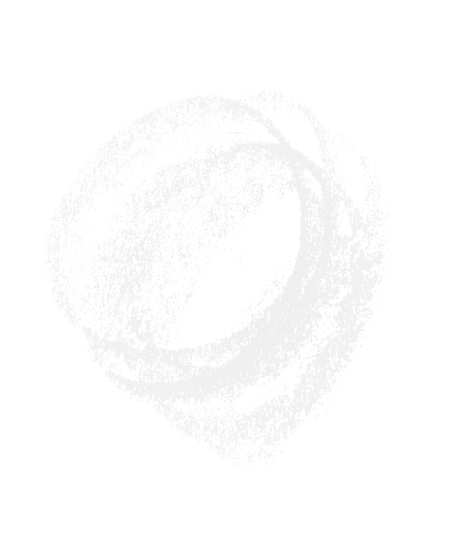 Seelion Logomark Subtle